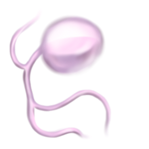 microbiome 1